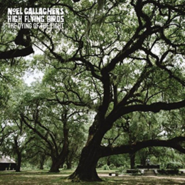NOEL GALLAGHER'S HIGH FLYING BIRDS | DYING OF THE LIGHT | 7IN VINYL