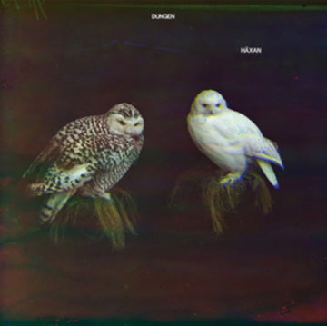 HAEXAN (LP/CD) O.S.T. | HAEXAN (LP/CD) O.S.T. | VINYL RECORD (LP)