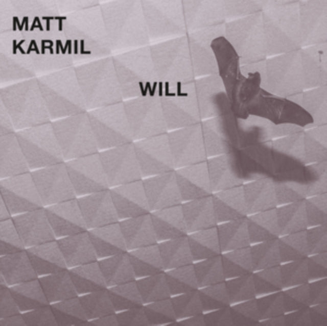 KARMIL, MATT | WILL | VINYL RECORD (LP)
