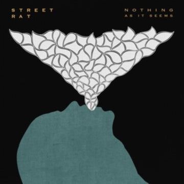 NOTHING AS IT SEEMS | VINYL RECORD (LP)