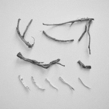 SKELTON, RICHARD | THESE CHARMS MAY BE SUNG OVER A WOUND | VINYL RECORD (LP)