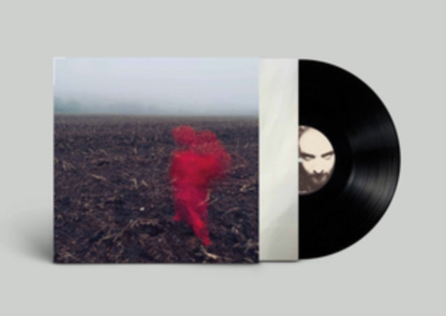 VARLEY, WILL | HOLE AROUND MY HEAD | VINYL RECORD (LP)