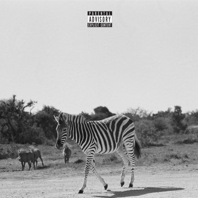LOUIS VI | EARTHLING | VINYL RECORD (LP)