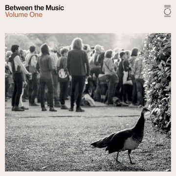 END OF THE ROAD PRESENTS: BETWEEN THE MUSIC (2LP) | VINYL RECORD (LP)