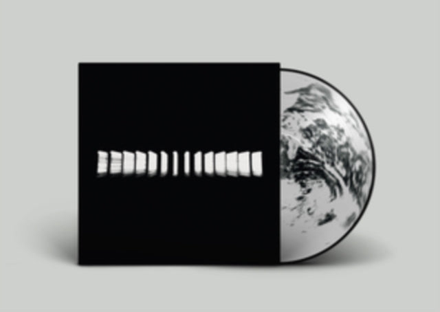 TURTLE | LANDMASS (PICTURE DISC) | VINYL RECORD (LP)