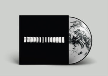 TURTLE | LANDMASS (PICTURE DISC) | VINYL RECORD (LP)