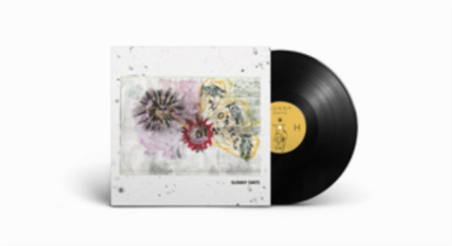 DEAD HORSES | SUNNY DAYS | VINYL RECORD (LP)