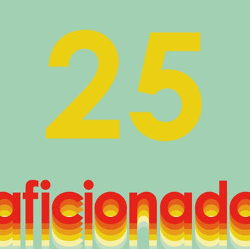 JASON BOARDMAN & MOONBOOTS PRESENT 25 YEARS OF AFICIONADO (2LP) | VINYL RECORD (LP)