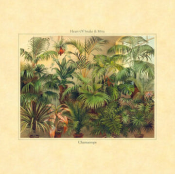 CHAMAEROPS | VINYL RECORD (LP)