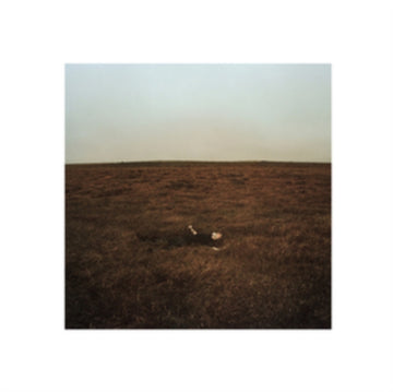CITY IS COMING TO ERASE IT ALL (WINTER GORSE COLOUR VINYL) | VINYL RECORD (LP)