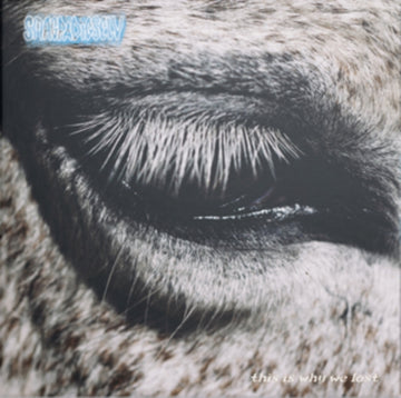 THIS IS WHY WE LOST | VINYL RECORD (LP)