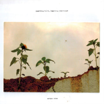 SOMETHING BUILT & SOMETHING REMEMBERED | VINYL RECORD (LP)