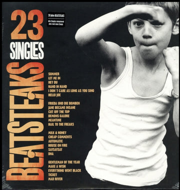 BEATSTEAKS | 23 SINGLES | VINYL RECORD (LP)