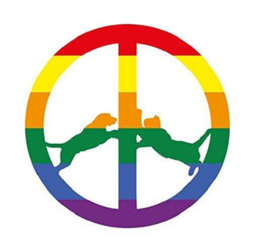RAINBOW EDITION (180G) | VINYL RECORD (LP)