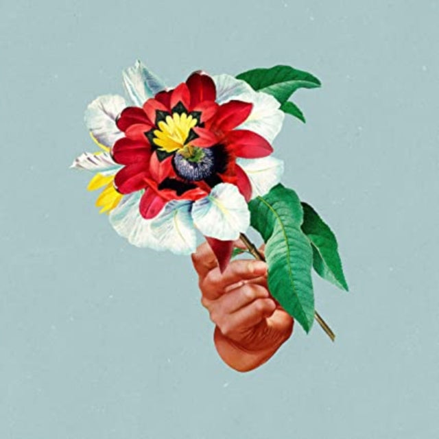 MARIBOU STATE | KINGDOMS IN COLOUR | VINYL RECORD (LP)