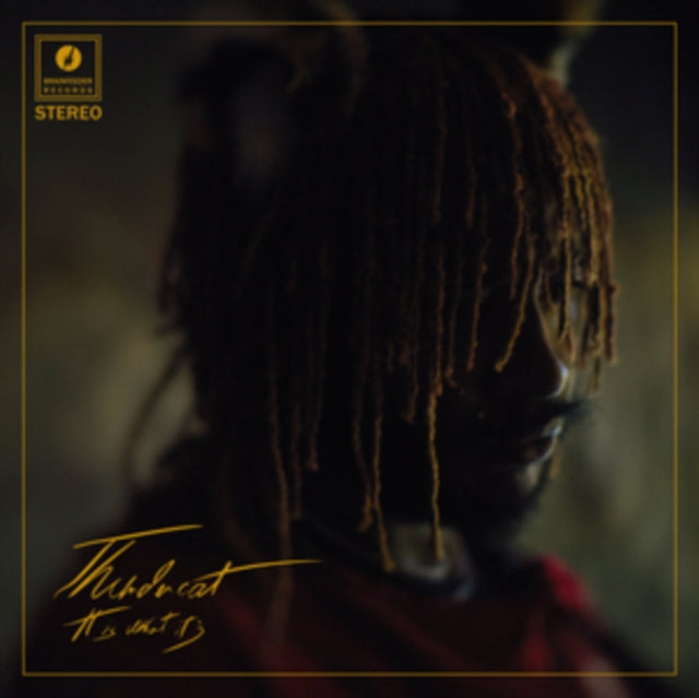 THUNDERCAT | IT IS WHAT IT IS (RED VINYL/140G/3MM SPINED SLEEVE/GOLD FOIL) | VINYL RECORD (LP)