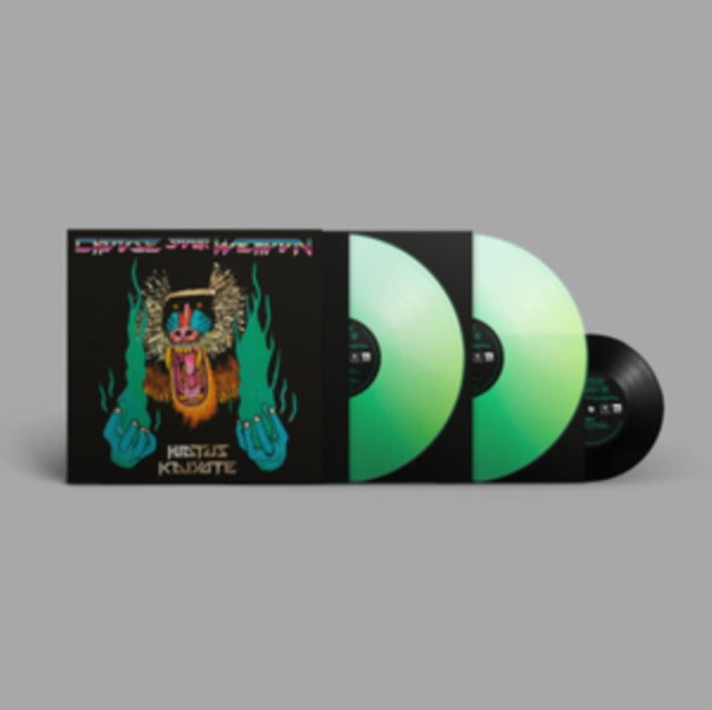 HIATUS KAIYOTE | CHOOSE YOUR WEAPON (2LP) | VINYL RECORD (LP)