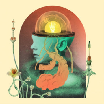SALAMI ROSE JOE LOUIS | AKOUSMATIKOUS | VINYL RECORD (LP)