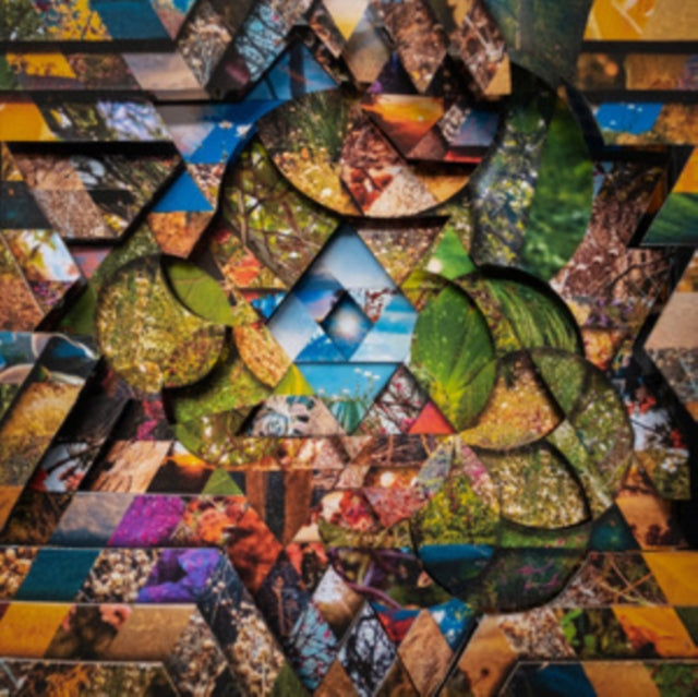 ATWOOD-FERGUSON, MIGUEL | LES JARDINS MYSTIQUES VOL.1 (4LP) | VINYL RECORD (LP)
