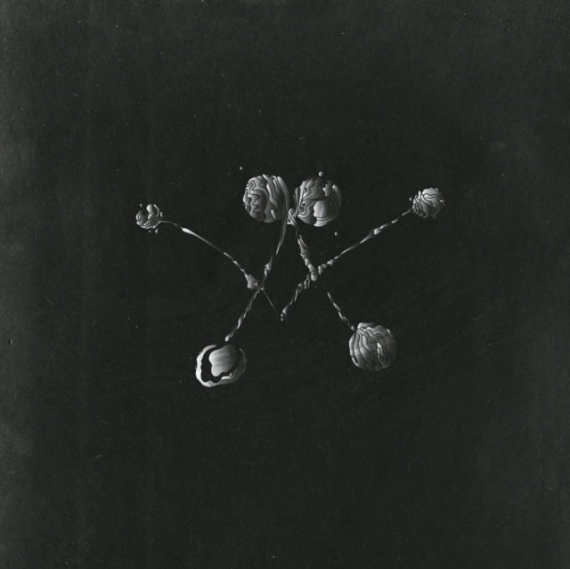 WATERSTRIDER | NOWHERE NOW | VINYL RECORD (LP)