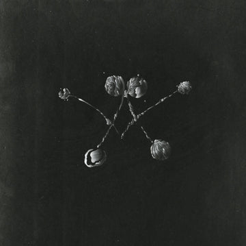 WATERSTRIDER | NOWHERE NOW | VINYL RECORD (LP)