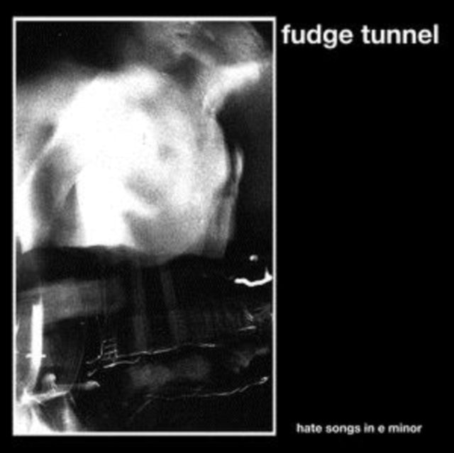 FUDGE TUNNEL | HATE SONGS IN E MINOR | VINYL RECORD (LP)