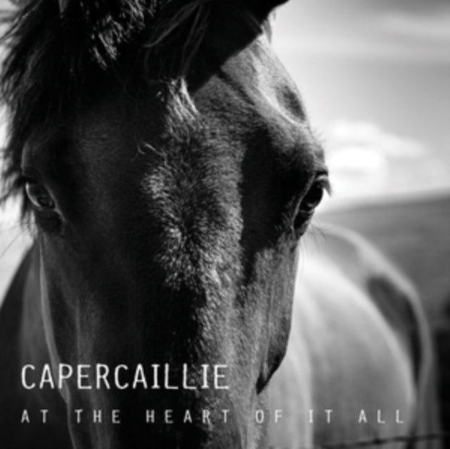 CAPERCAILLIE | AT THE HEART OF IT ALL | CD