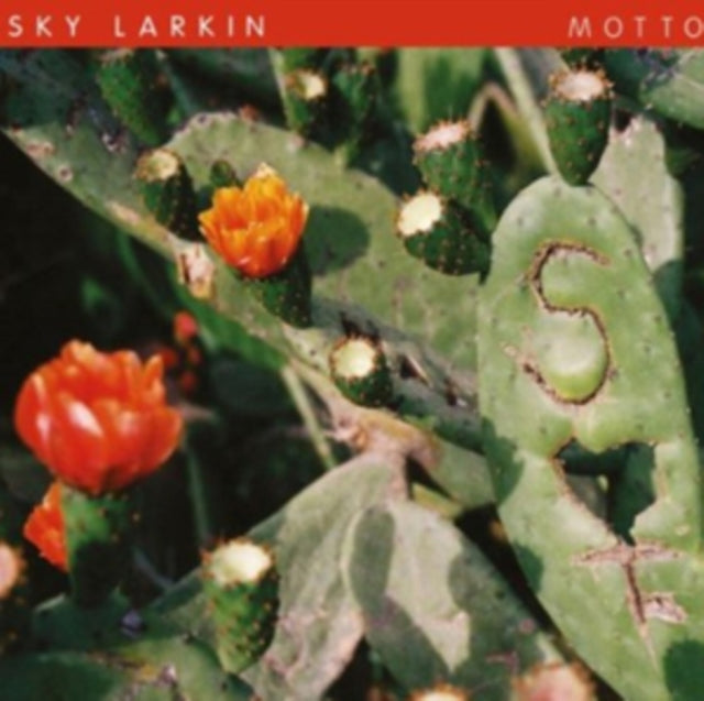 SKY LARKIN | MOTTO | VINYL RECORD (LP)