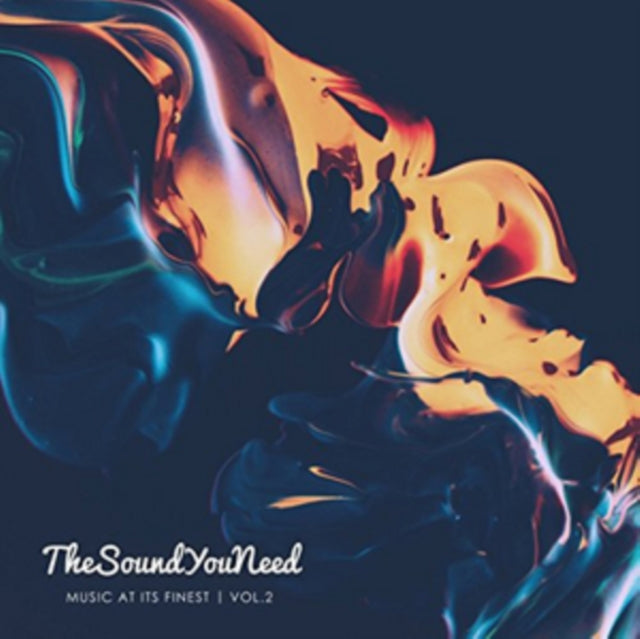 VARIOUS ARTISTS | THESOUNDYOUNEED 2 | VINYL RECORD (LP)