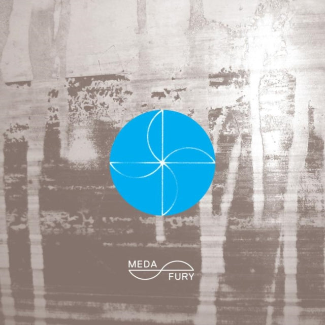 HAZYLUJAH | HOW CAN YOU HIDE FROM WHAT NEVER GOES AWAY | 12IN VINYL