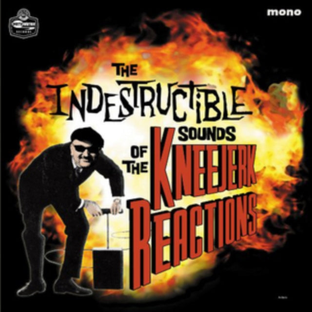 KNEEJERK REACTIONS | INDESTRUCTIBLE SOUNDS OF | VINYL RECORD (LP)