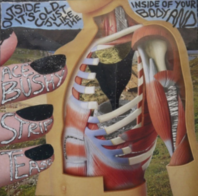 ACE BUSHY STRIPTEASE | OUTSIDE IT'S COLD JUST LIKE | VINYL RECORD (LP)
