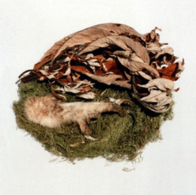 BIRD BY SNOW | OFFERING | VINYL RECORD (LP)