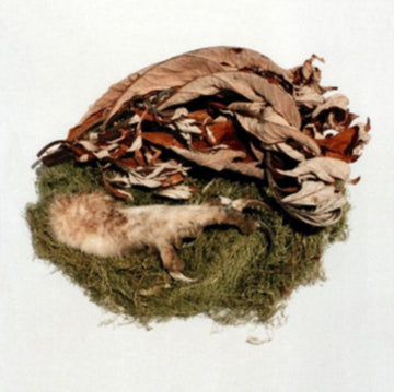 BIRD BY SNOW | OFFERING | VINYL RECORD (LP)