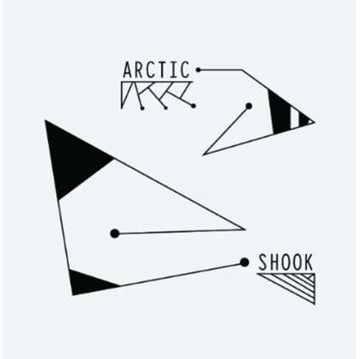 ARCTIC | SHOOK | 12IN VINYL