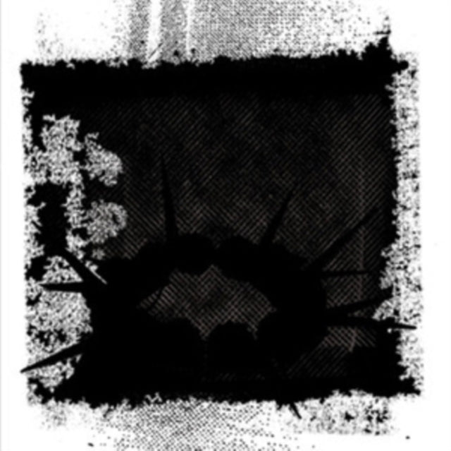SHAPEDNOISE | UNTIL HUMAN VOICES WAKE US | VINYL RECORD (LP)