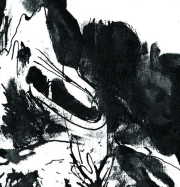 PERSPEX FLESH | PERSPEX FLESH | VINYL RECORD (LP)