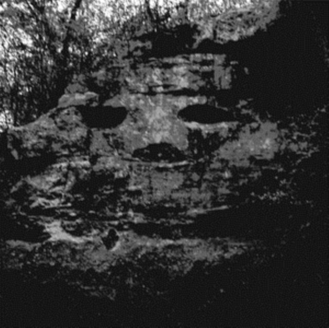 PANICSVILLE | DRAGONFLY FOR EACH CORPSE (LP/SIN) | VINYL RECORD (LP)