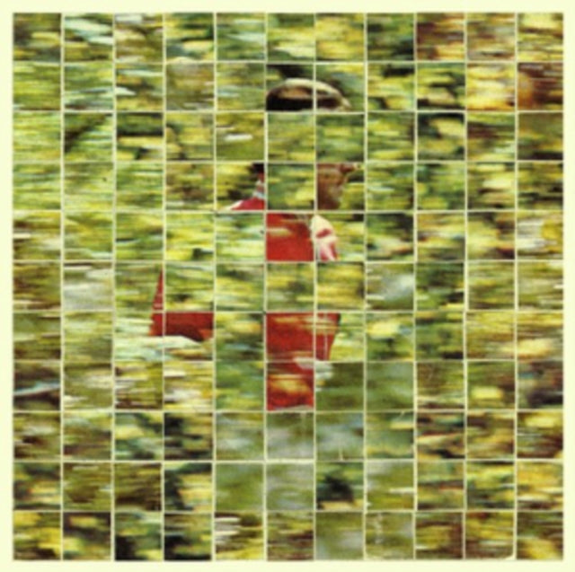 DALHOUS | WILL TO BE WELL (2LP) | VINYL RECORD (LP)