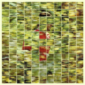 DALHOUS | WILL TO BE WELL (2LP) | VINYL RECORD (LP)