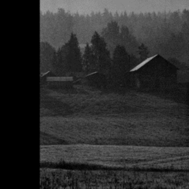 D.A.R.F.D.H.S. | DET STORA OVASENDET | VINYL RECORD (LP)