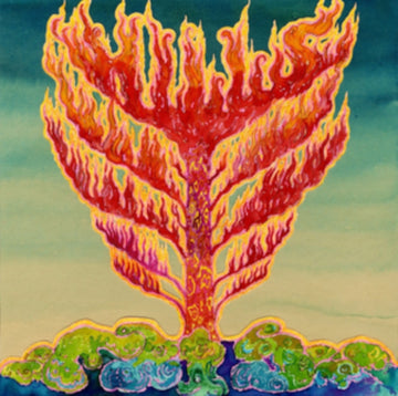 FRID | VINYL RECORD (LP)