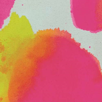 FOOD PLUS DRUG II | 12IN VINYL