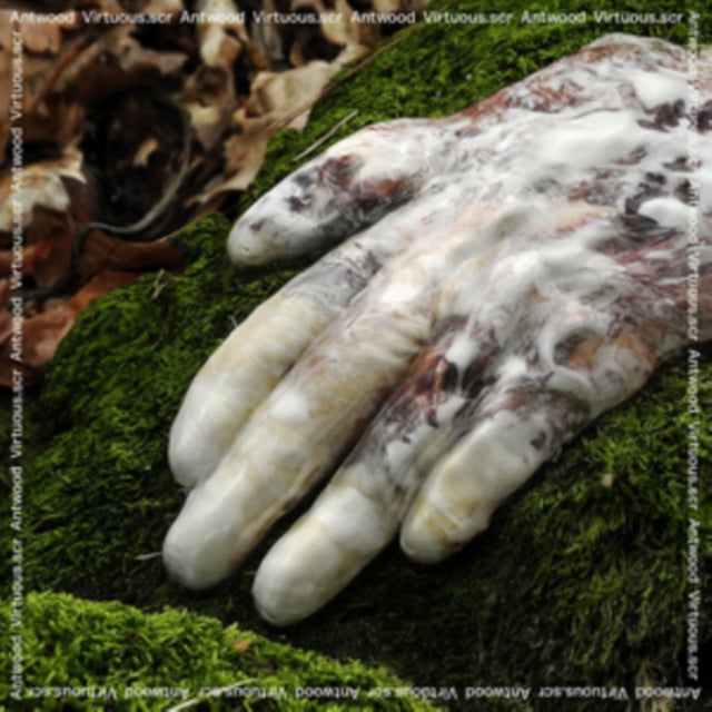 ANTWOOD | VIRTUOUS.SCR | VINYL RECORD (LP)