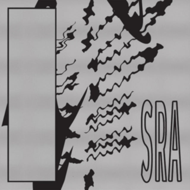 SILK ROAD ASSASSINS | REFLECTION SPACES | VINYL RECORD (LP)