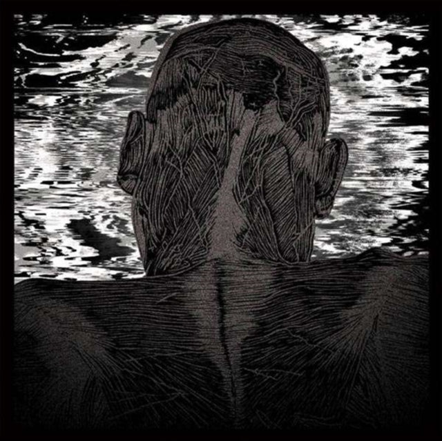 LEVITAS, ASHER | LIT HARNESS | VINYL RECORD (LP)