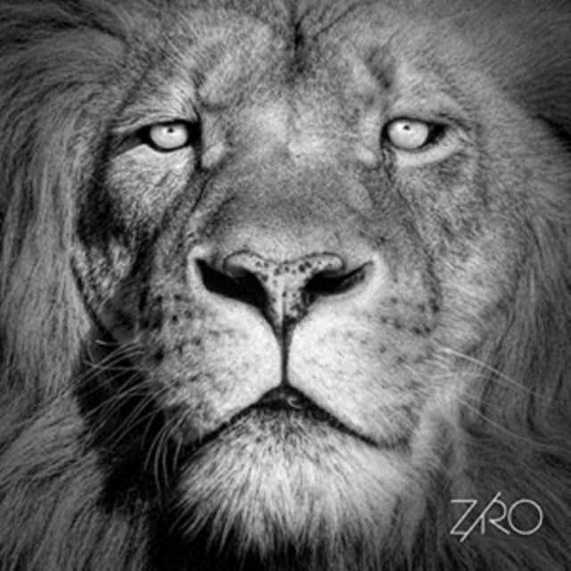 ZIRO | LIONHEART | 12IN VINYL