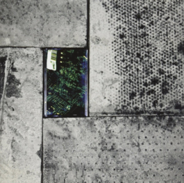 LILY | MODERN MALAISE | 12IN VINYL