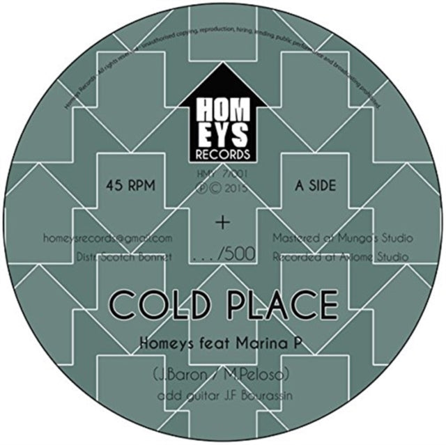 HOMEYS (FT MARINA P) | COLD PLACE | 7IN VINYL