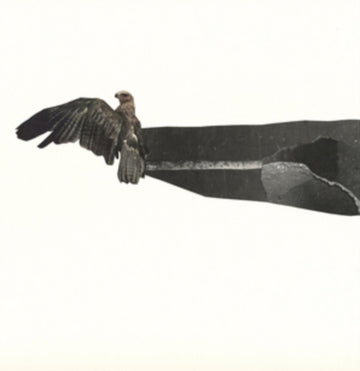 DREAMBOAT | DREAMBOAT | VINYL RECORD (LP)